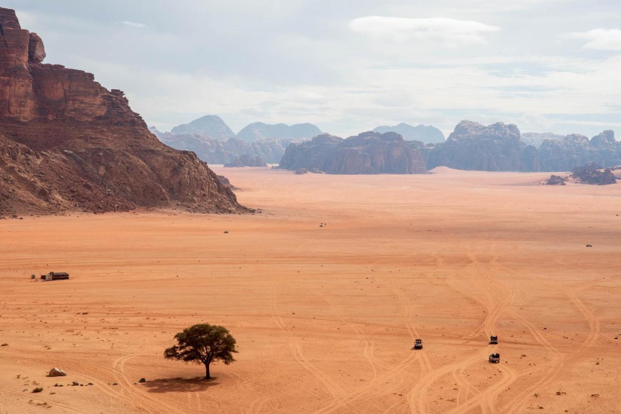 Wadi Rum Nights Екстериор снимка