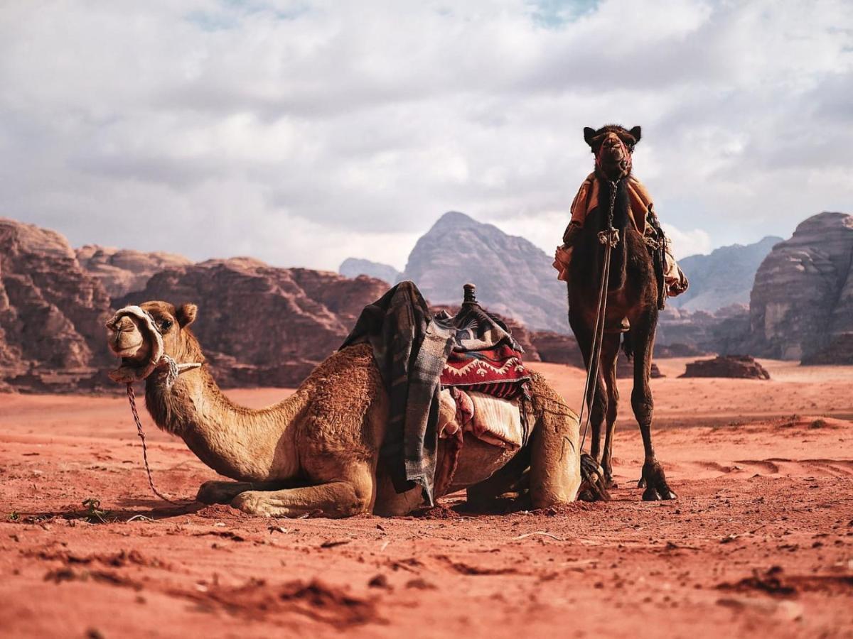 Wadi Rum Nights Екстериор снимка