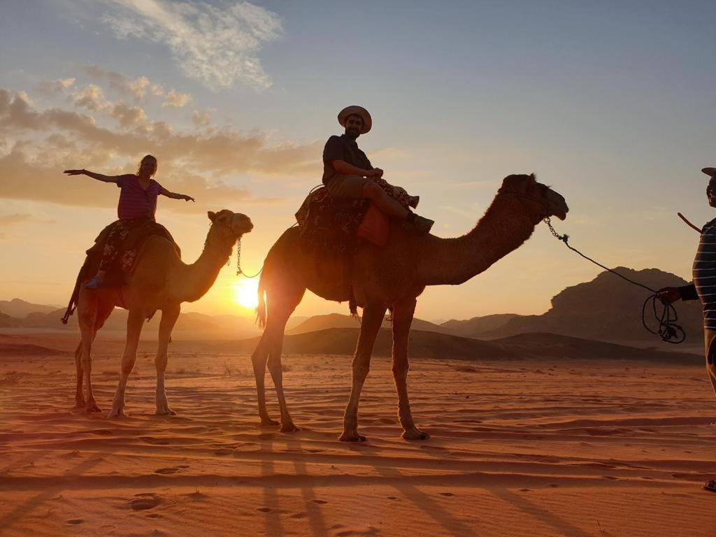 Wadi Rum Nights Екстериор снимка