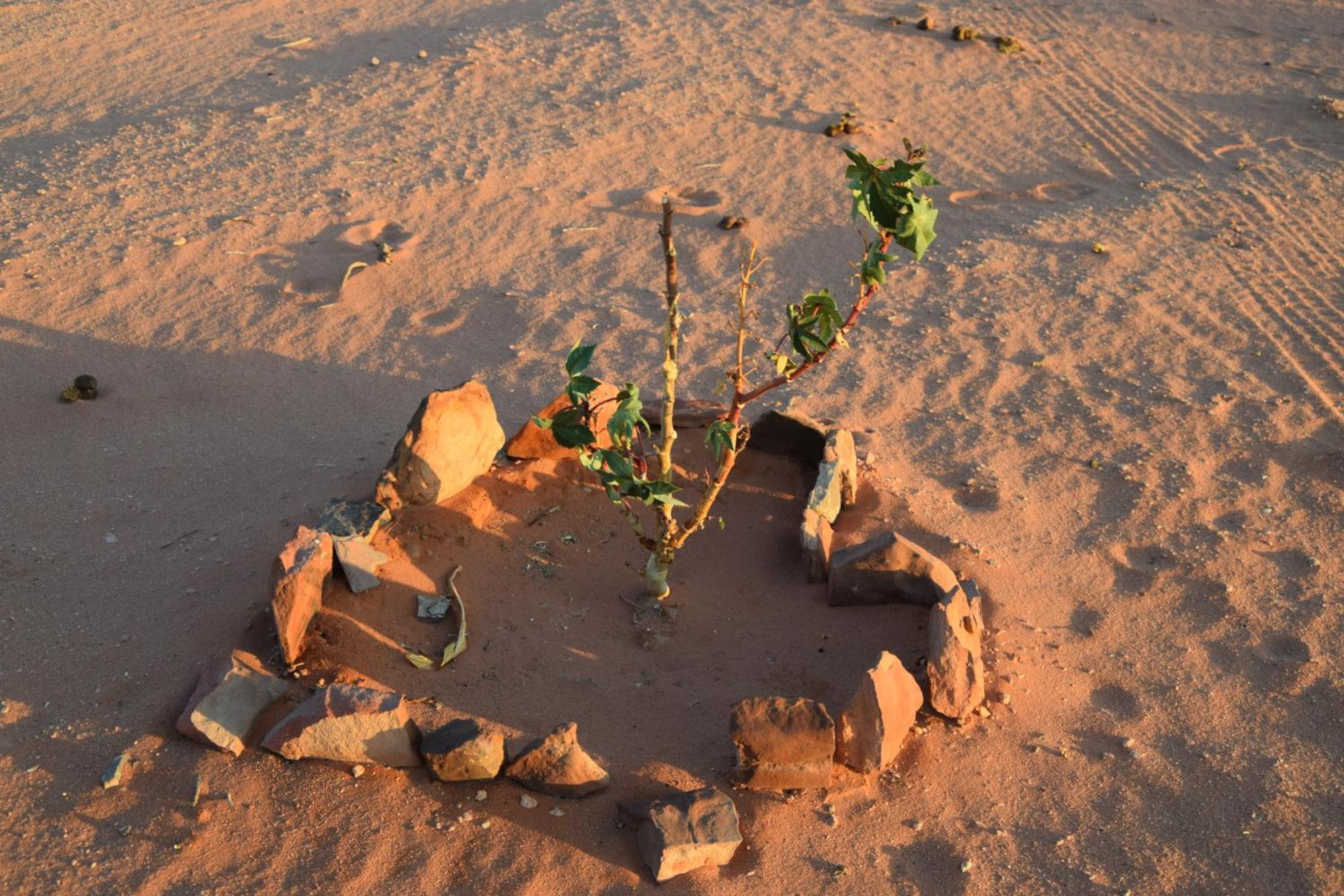 Wadi Rum Nights Екстериор снимка