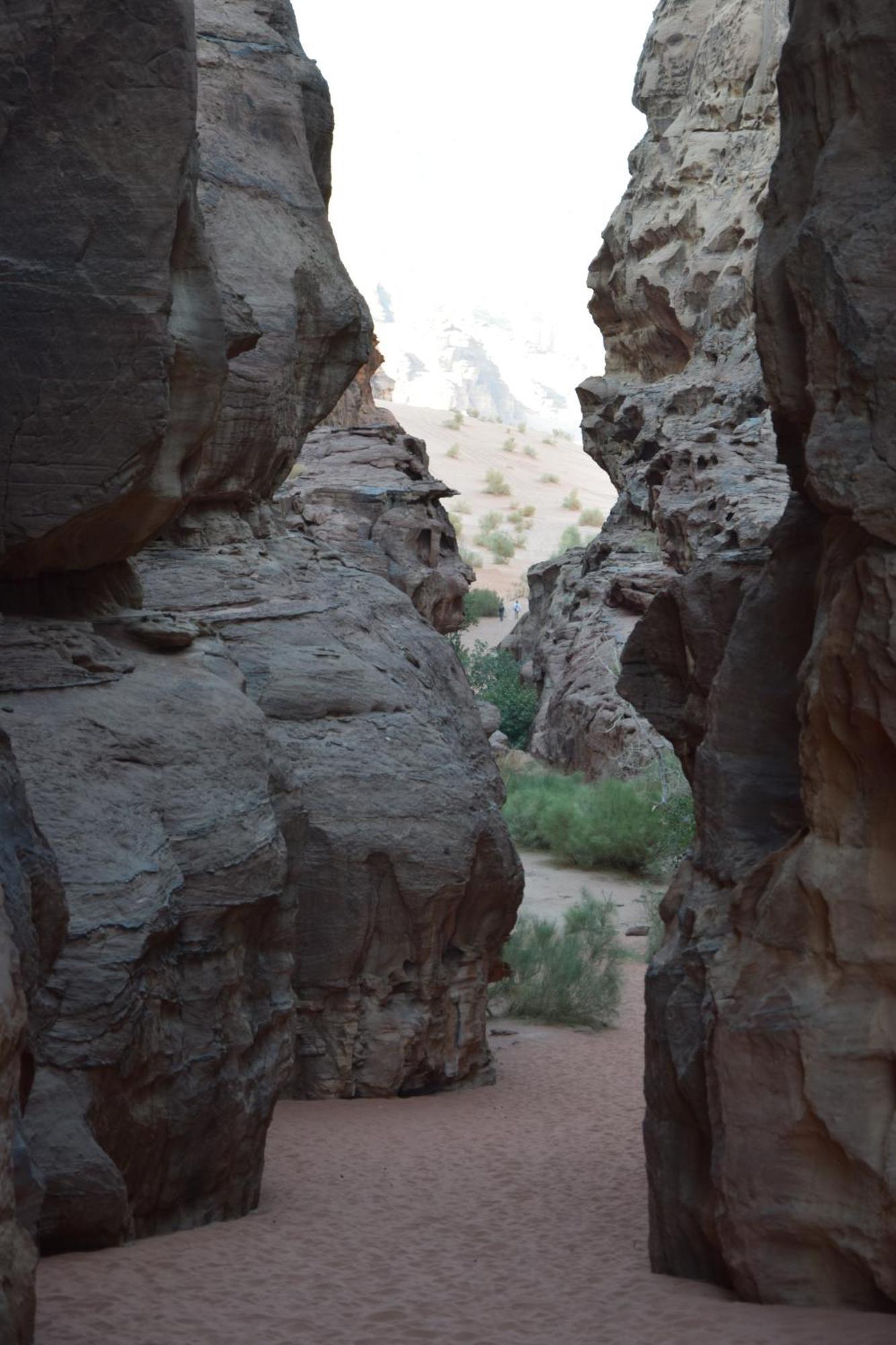 Wadi Rum Nights Екстериор снимка